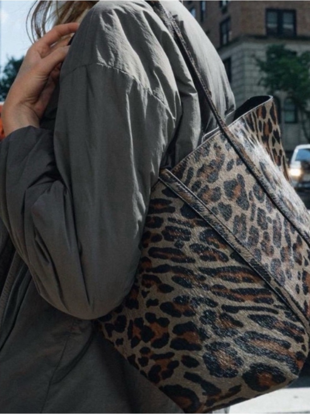 Leopard Print Tote Bag - Brown/Black
